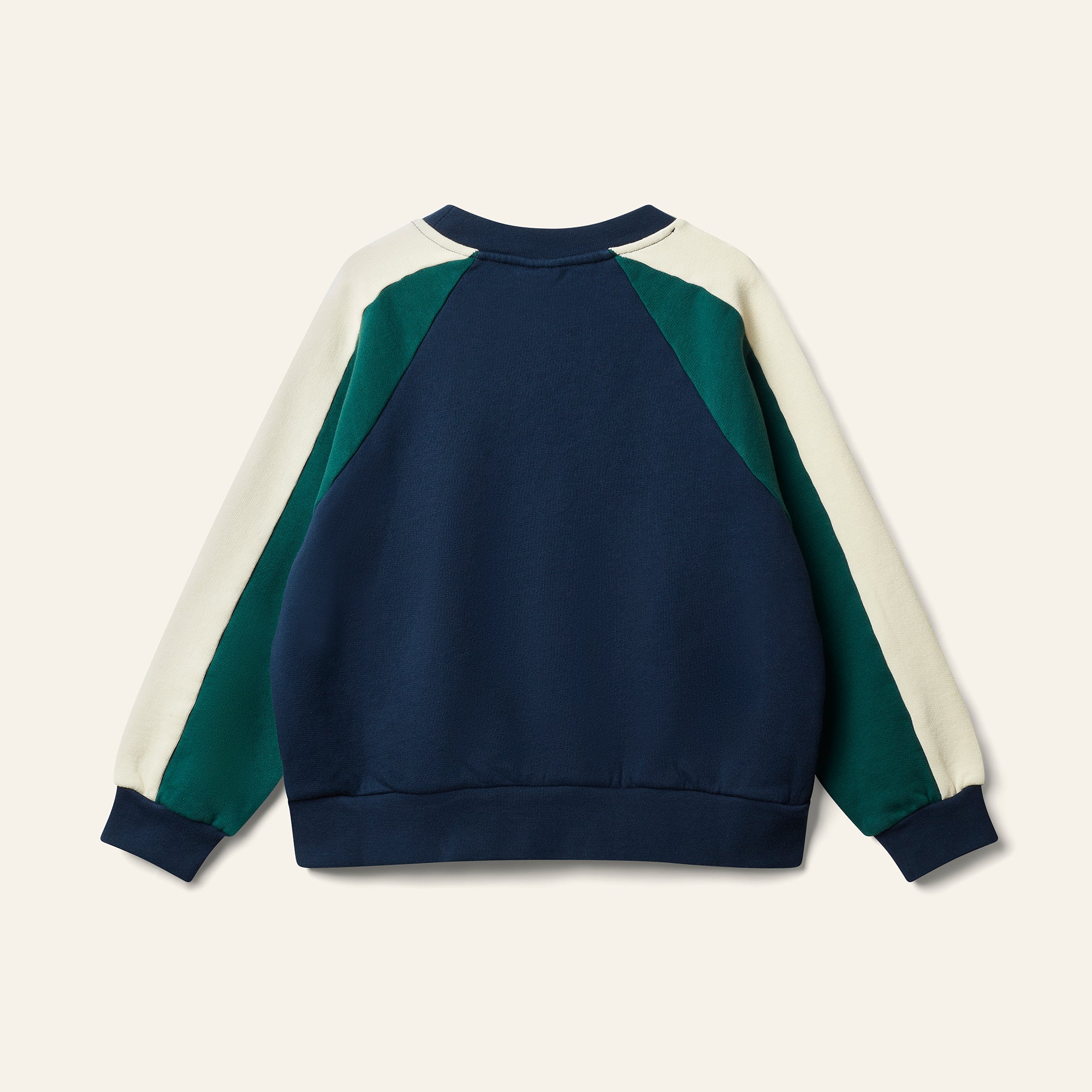 Wynk Panel Sweat - Navy / Green / Cream