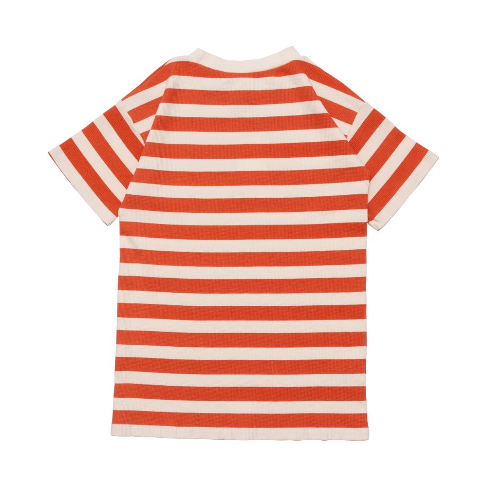 Box Tee Dress - Waffle Setting Sun Stripe